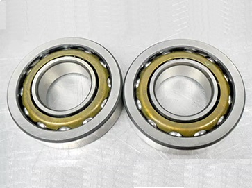 Bearing, O.B. (2 BRG. Set) 20616-1 648408201S for Mission Magnum Pump