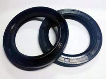 Oil Seal, I.B. Brg. Cover 20619-01 for Mission Magnum I Pump